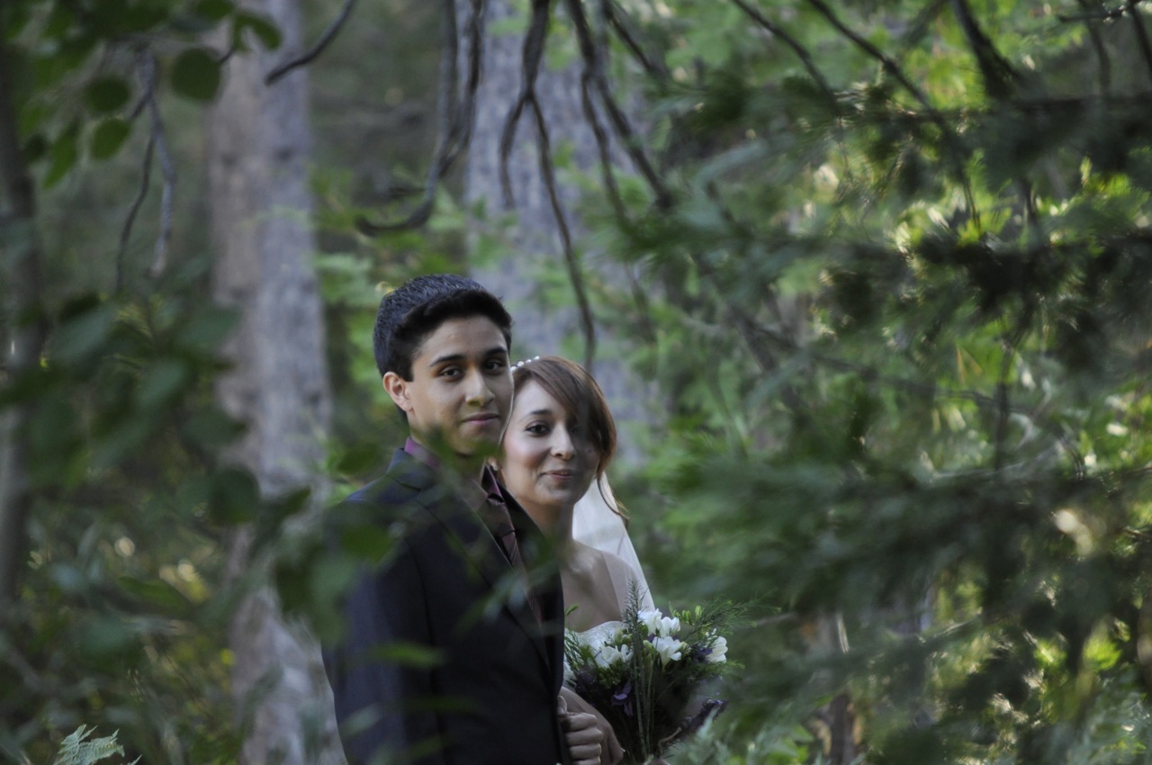 Wedding Photography photo 8